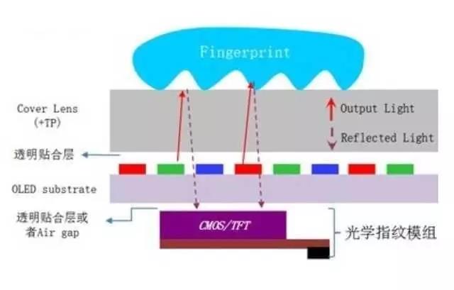 智能手機(jī)下一波趨勢將帶火哪些傳感器? 智能手機(jī)下一波趨勢將帶火哪些傳感器?
